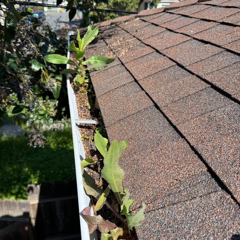 Clear Clogged Gutters That Hold Hidden Water