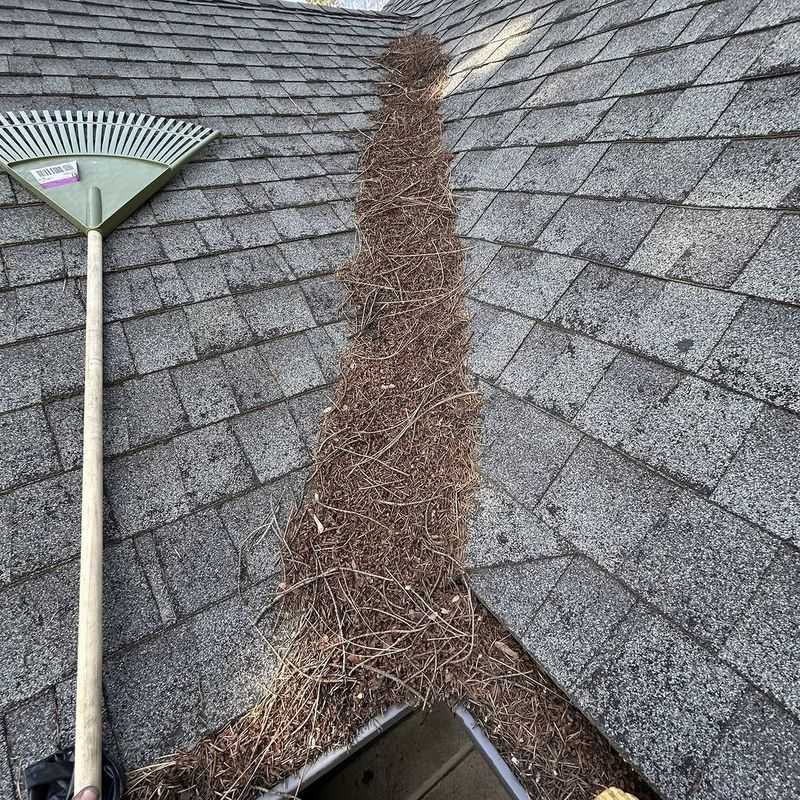 Clear Pine Needles From Roof Edges