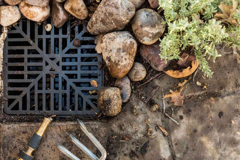 Clogged Drainage Areas That Hold Standing Water