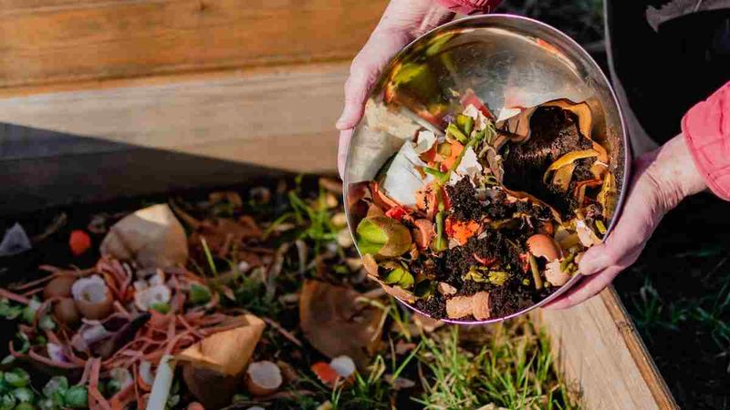 Coffee Grounds Help Build Better Compost