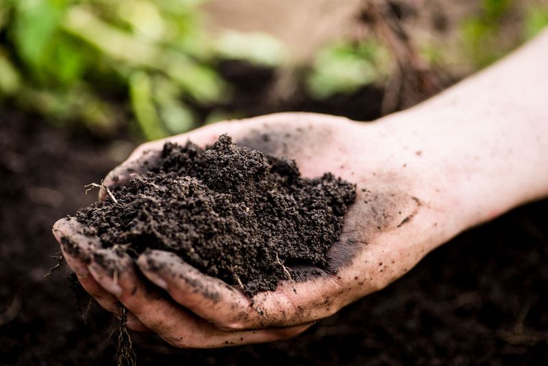 Coffee Grounds Work Best In Moderation, Not In Heavy Layers