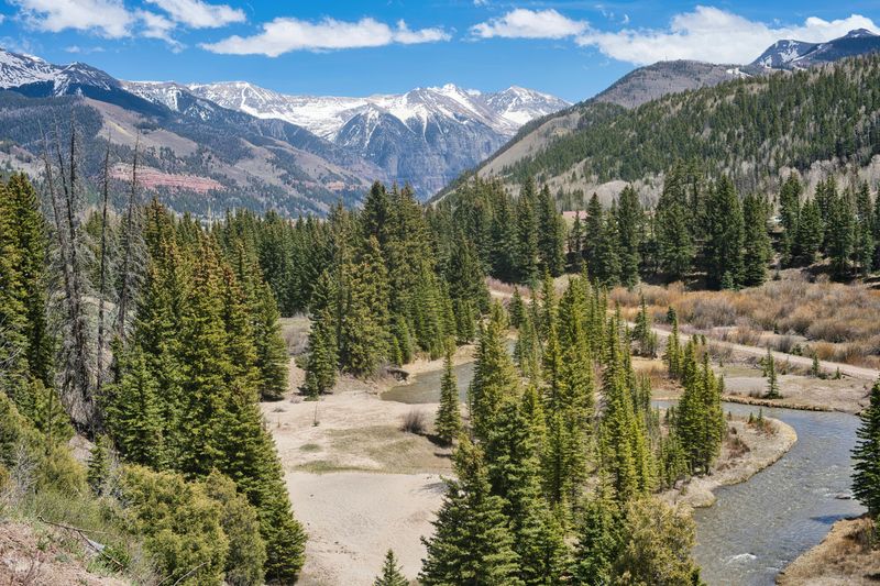 Colorado Has No Statewide Private Property Tree Law