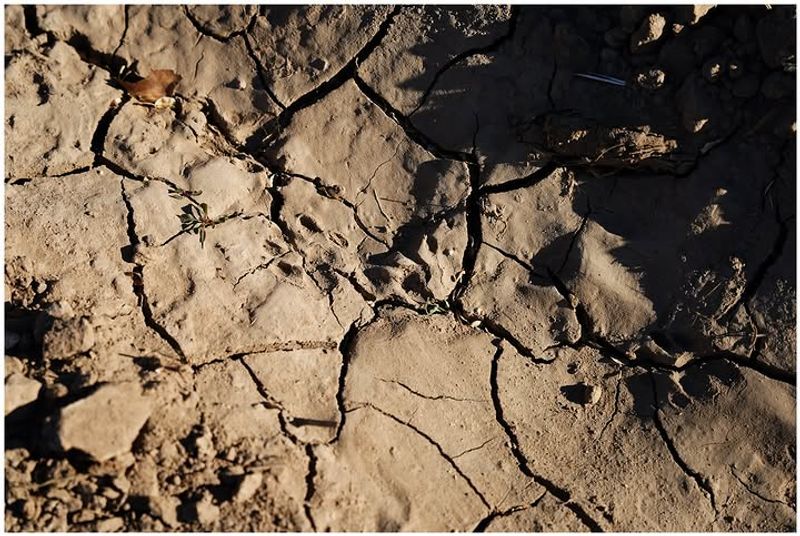 Colorado Soil Works Against You