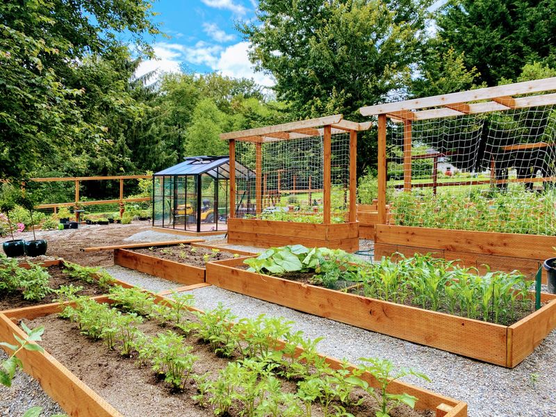Common Mistakes To Avoid When Filling Raised Beds