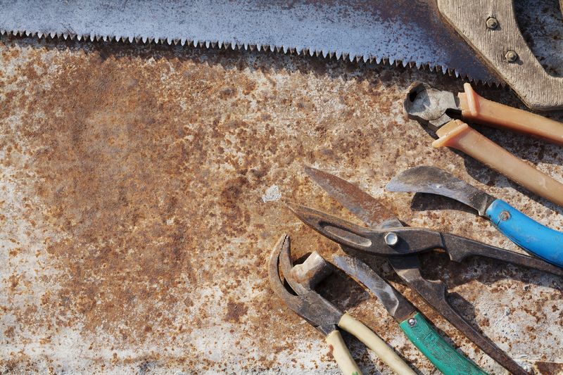 Common Tip Pruning Mistakes To Avoid
