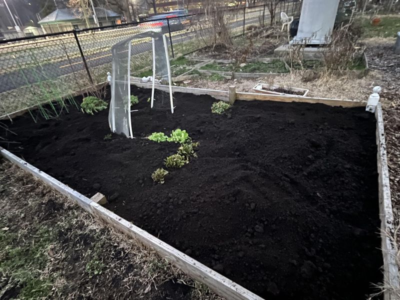 Compost Works Better On Top