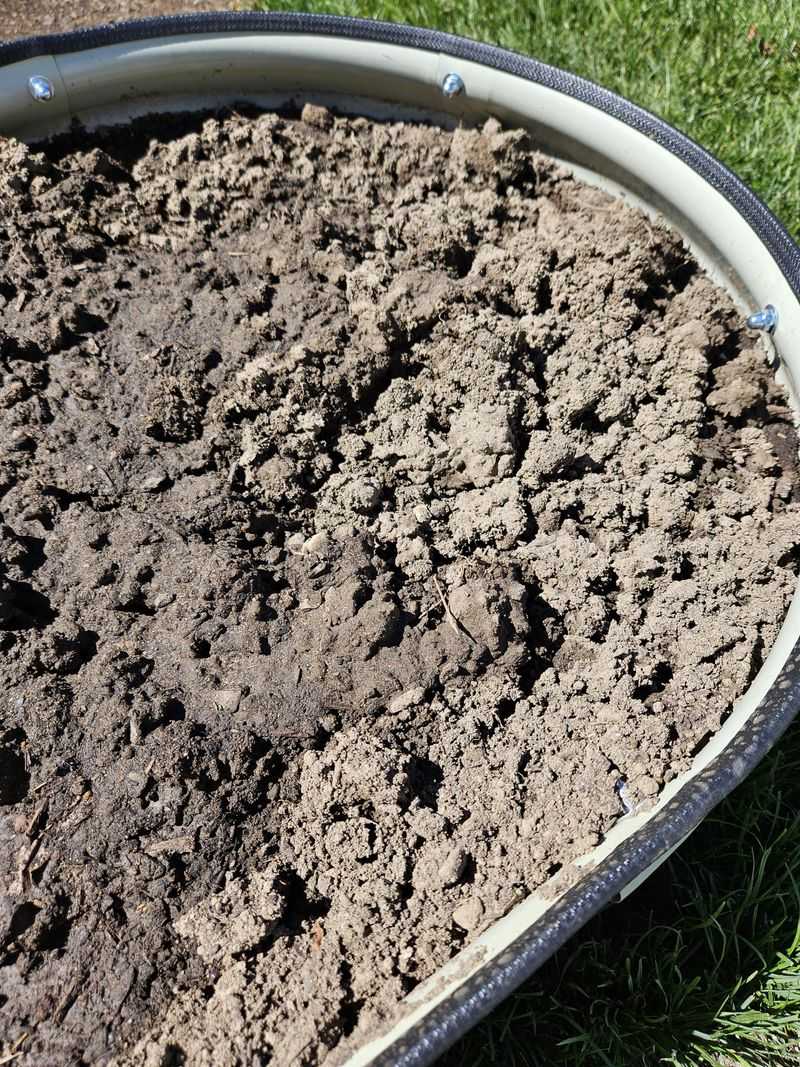 Concrete-Hard Soil Won't Help Summer Crops