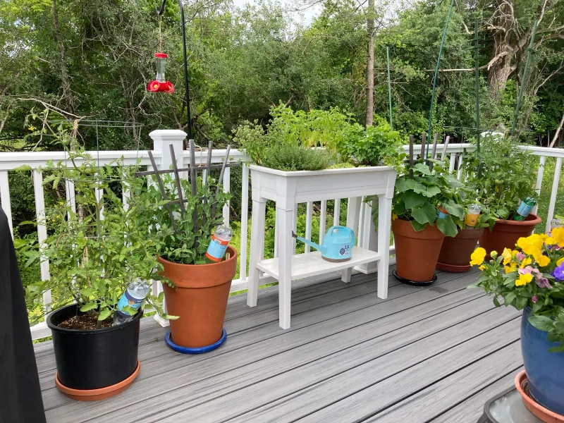 Containers Need A Different Watering Routine