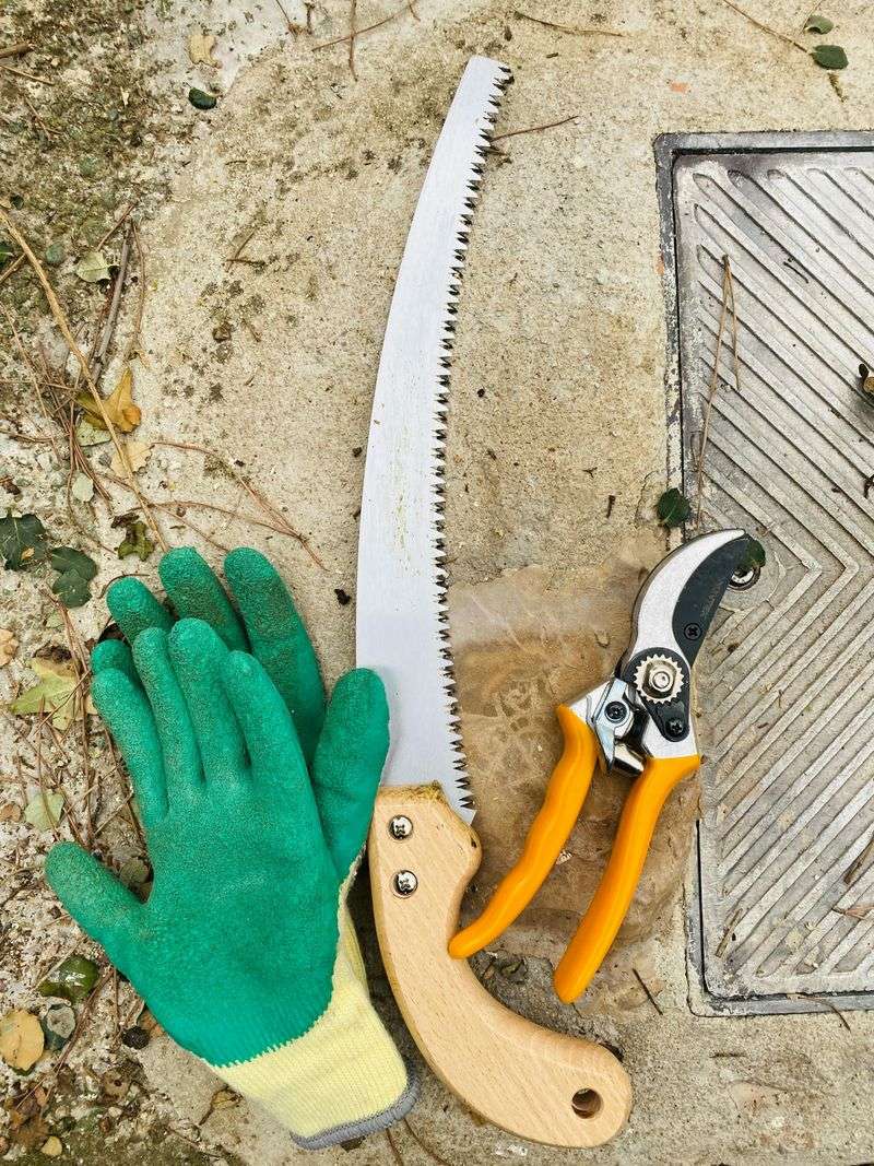 Continuous Pruning Is Necessary