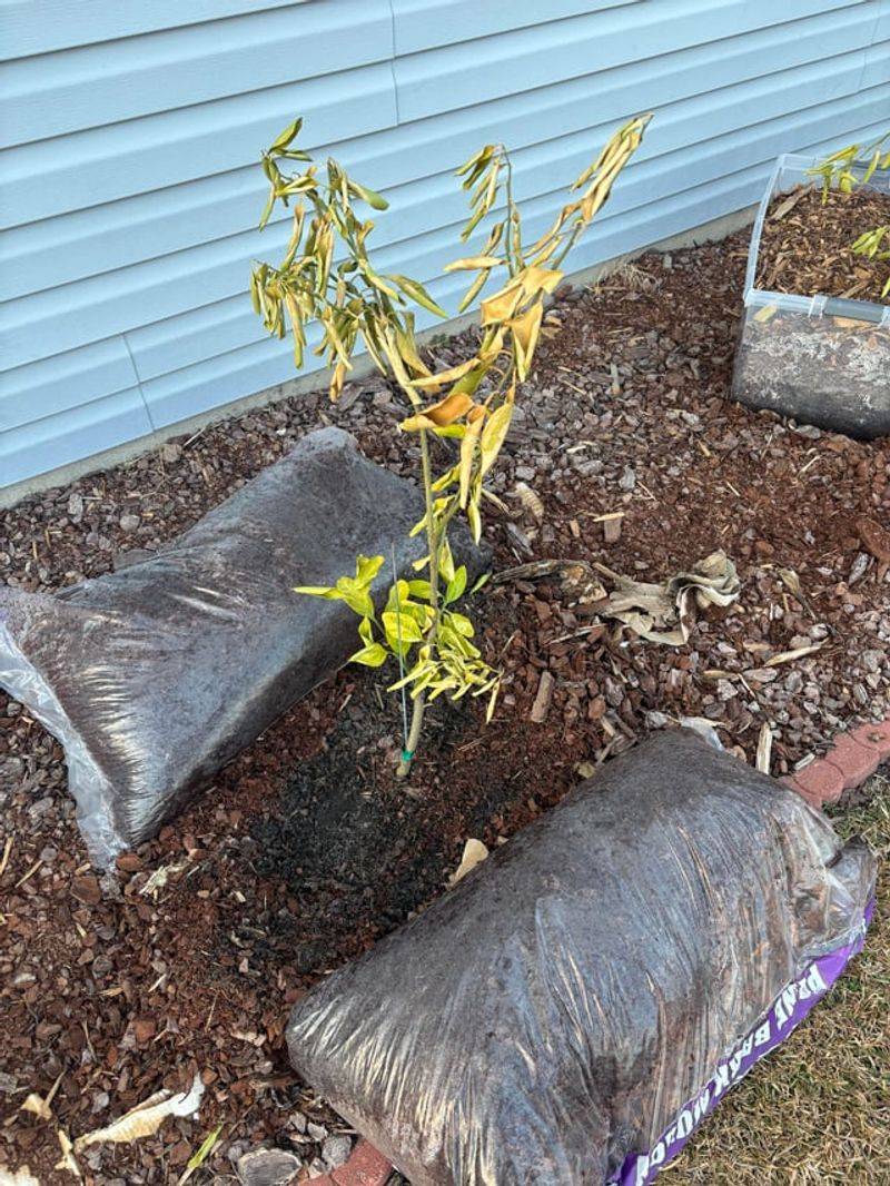 Cool Soil Can Keep Roots From Doing Their Job