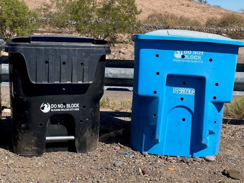 Cover Compost And Avoid Food Scraps Outdoors Cover Compost And Avoid Food Scraps Outdoors