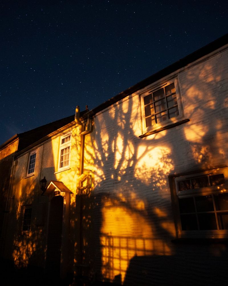 Create A Bat-Friendly Night Environment
