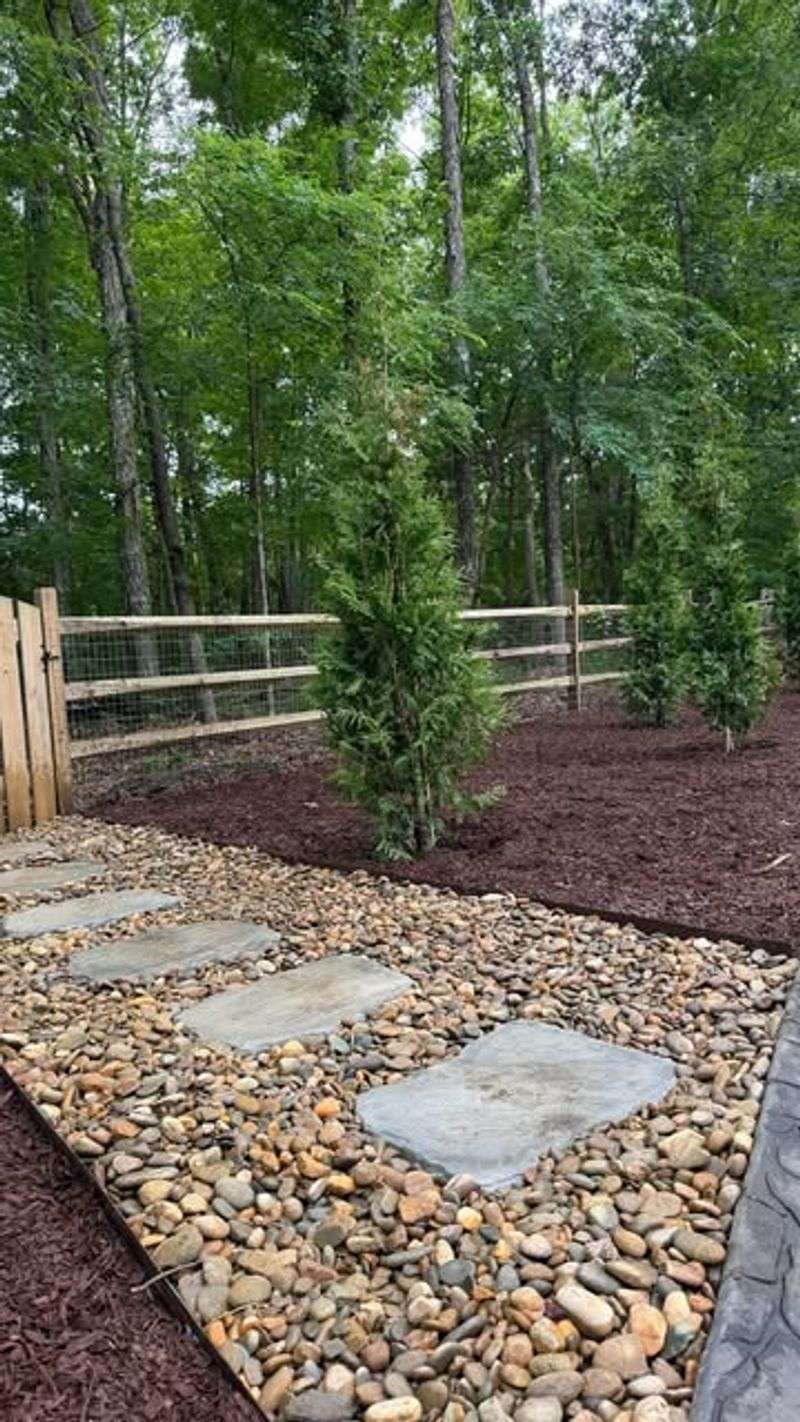Create A Dry Mulch Or Gravel Buffer