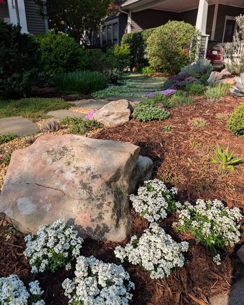 Create A Rock Garden With Heat Tolerant Plants