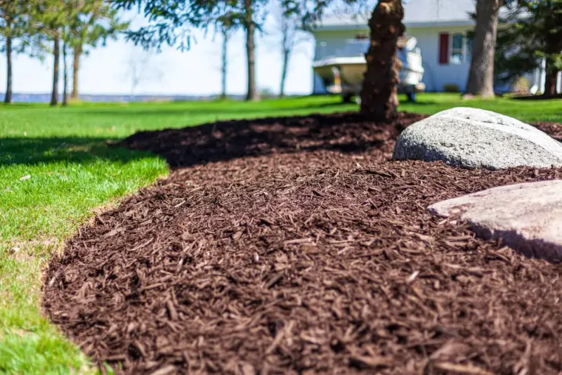 Create Mulch Or Gravel Borders Around Wooded Areas
