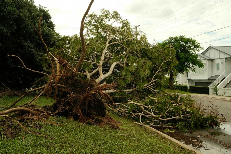 Cross-Property Trimming Can Spark Legal Disputes
