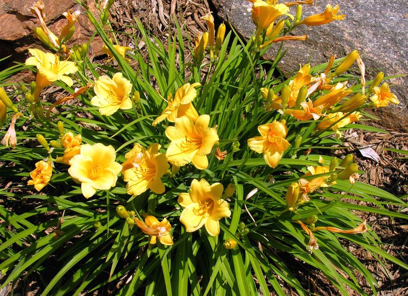 Crowded Clumps Compete With Themselves