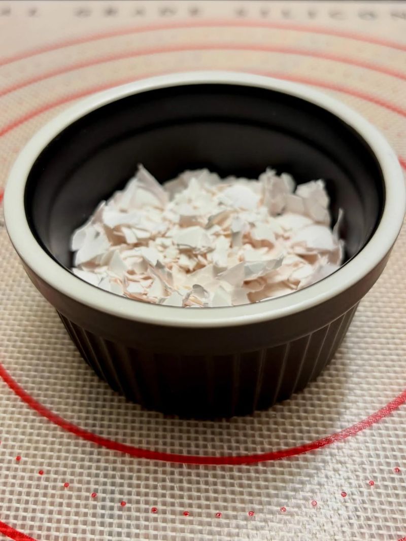 Crushed Eggshells During Nesting Season