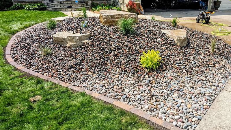 Decorative Rock Usually Holds Fewer Moist Hiding Areas