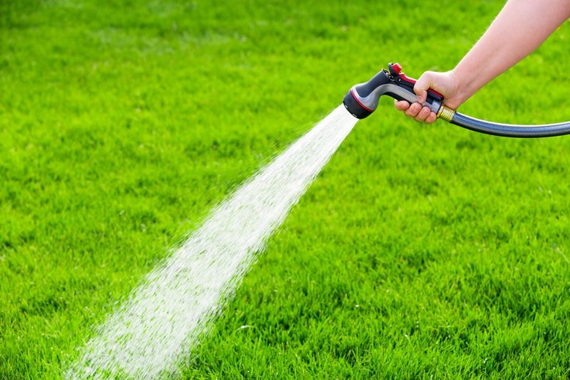 Deep Infrequent Watering Helps Lawns Recover Better Than Daily Sprinkling Deep Infrequent Watering Helps Lawns Recover Better Than Daily Sprinkling