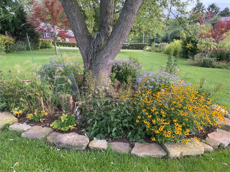 Deep Less Frequent Watering Builds Stronger Plants