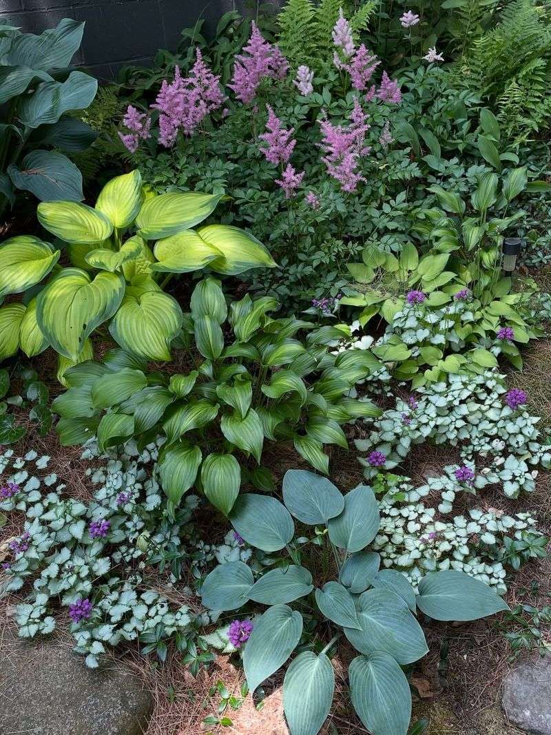 Dense, Overgrown Vegetation