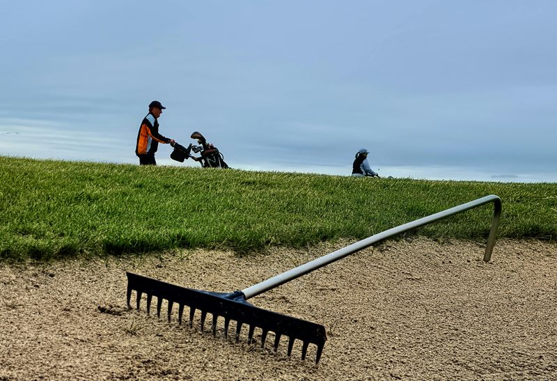 Dethatch With A Hand-Thatching Rake Dethatch With A Hand-Thatching Rake