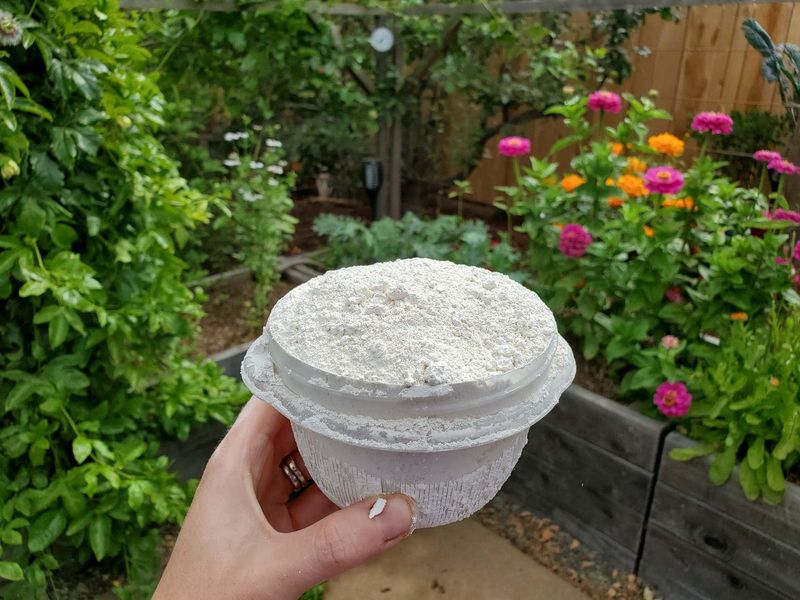 Diatomaceous Earth Helps Control Crawling Pests In Dry Weather