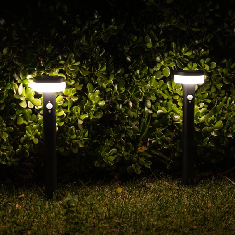 Dim Outdoor Lights So Bats Can Hunt More Easily Dim Outdoor Lights So Bats Can Hunt More Easily