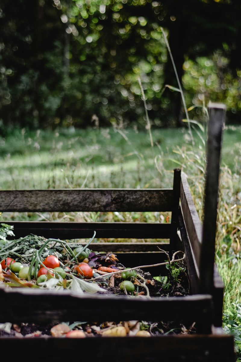 Disturbed Mulch, Compost, Or Garden Beds Disturbed Mulch, Compost, Or Garden Beds