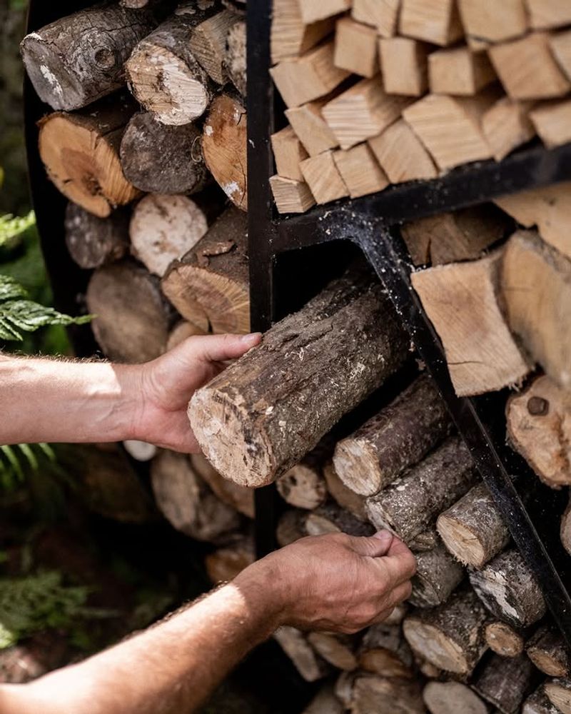 Do Not Move Untreated Firewood