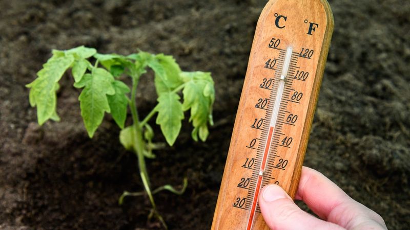 Do Not Trust The Calendar More Than The Soil