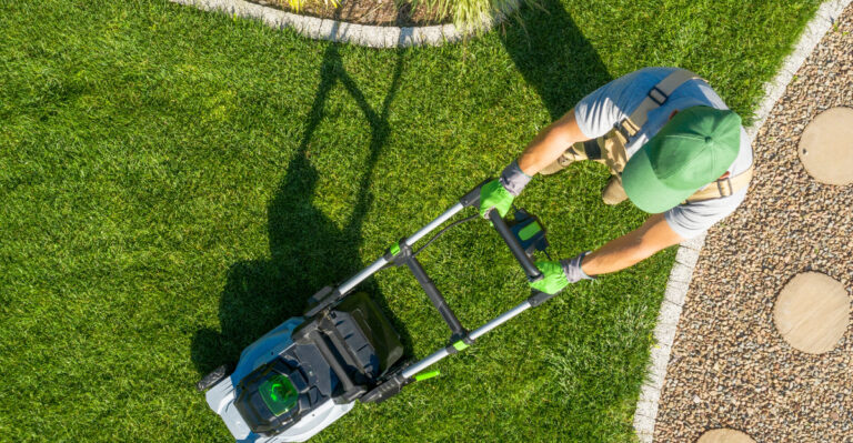 lawn care