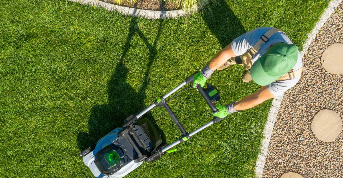 lawn care