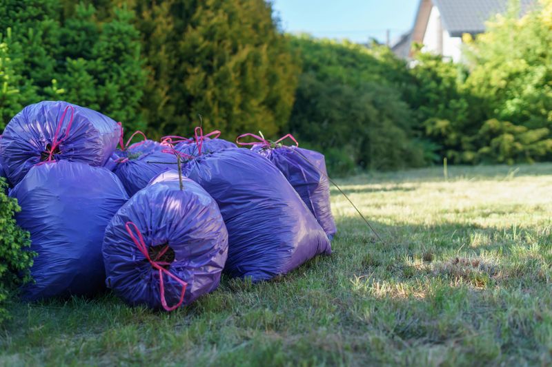 Do This With Easy Yard Cleanup Habits To Discourage Them