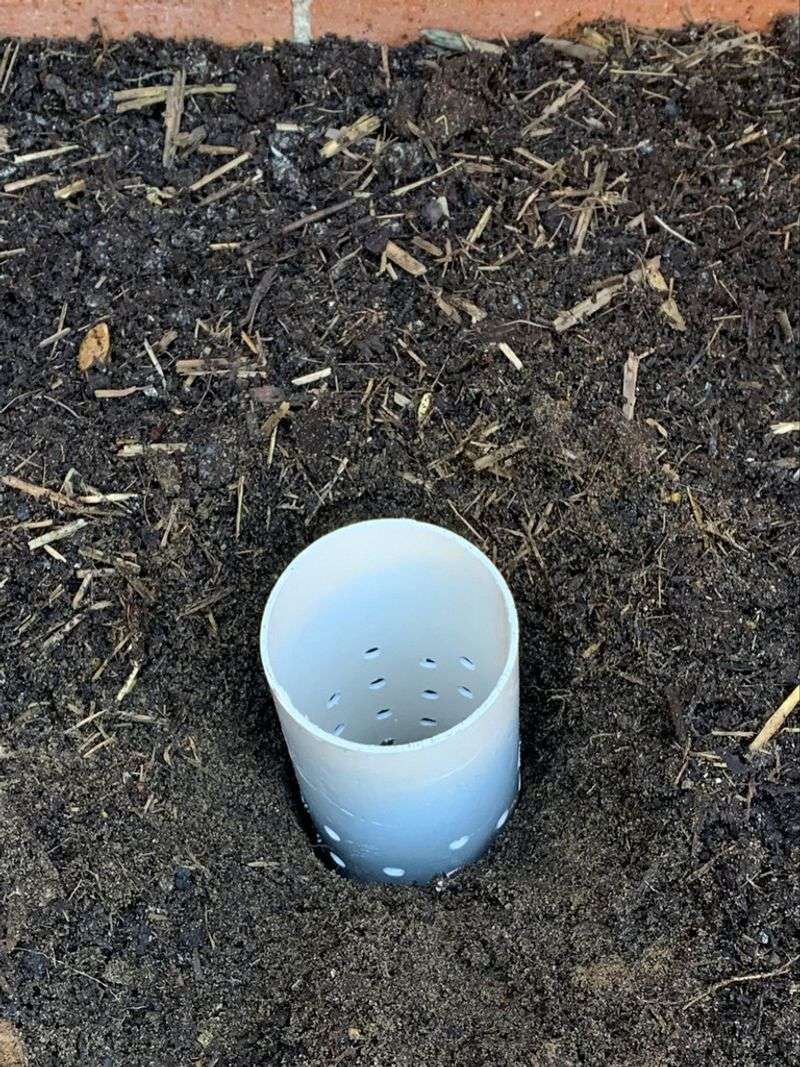 Drilled Holes Let Worms Move In And Out Freely