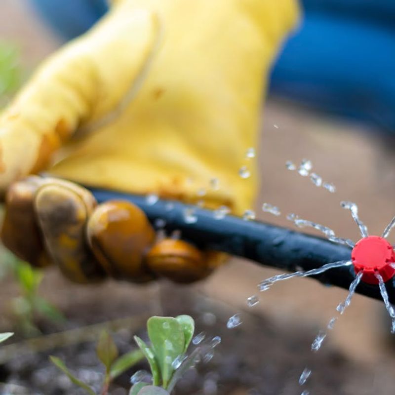 Drip Irrigation Needs A May Schedule Check