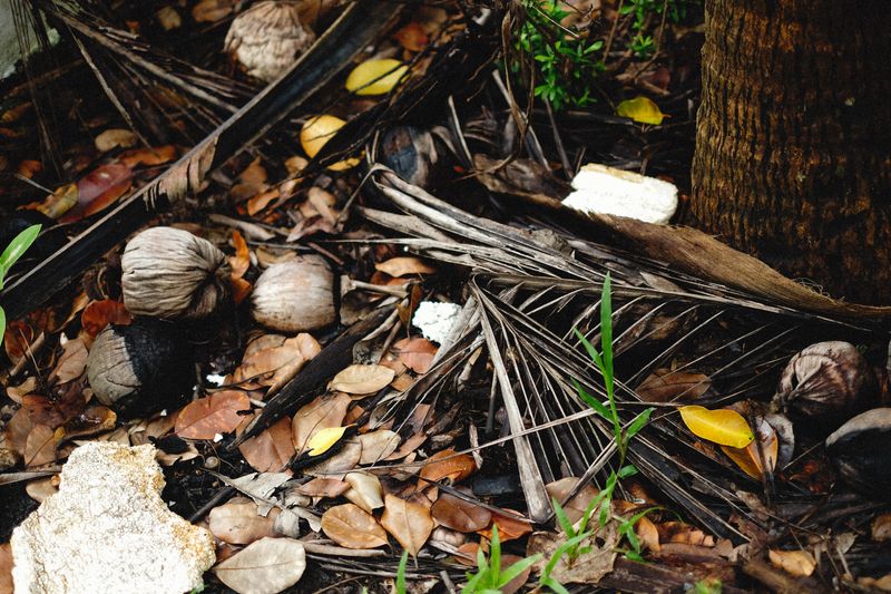 Droppings Near The Garden Droppings Near The Garden
