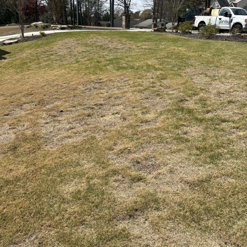 Drought Damage Often Shows Up In Hot, Exposed Spots Drought Damage Often Shows Up In Hot, Exposed Spots