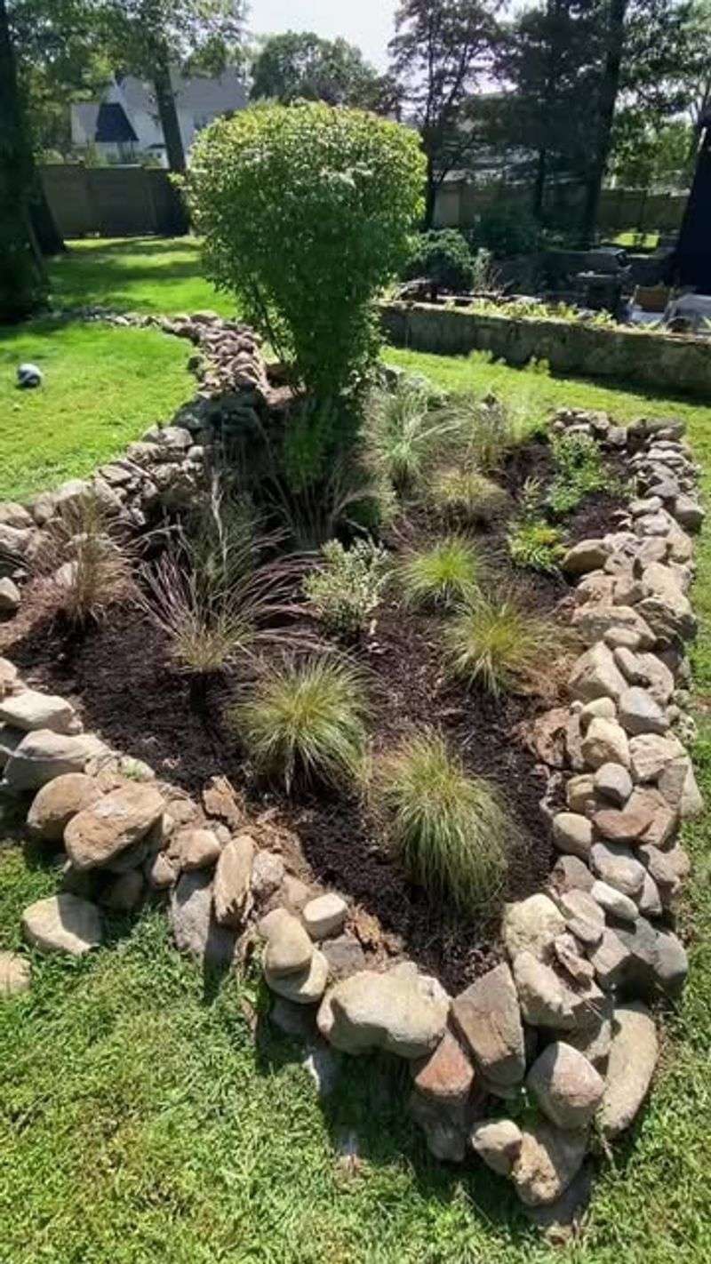 Drought Resistance That Puts Other Grasses To Shame