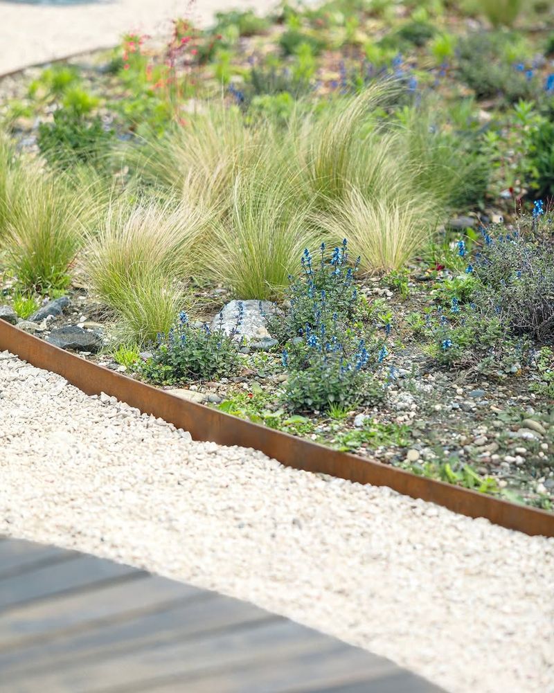 Drought-Tolerant Shrub Borders