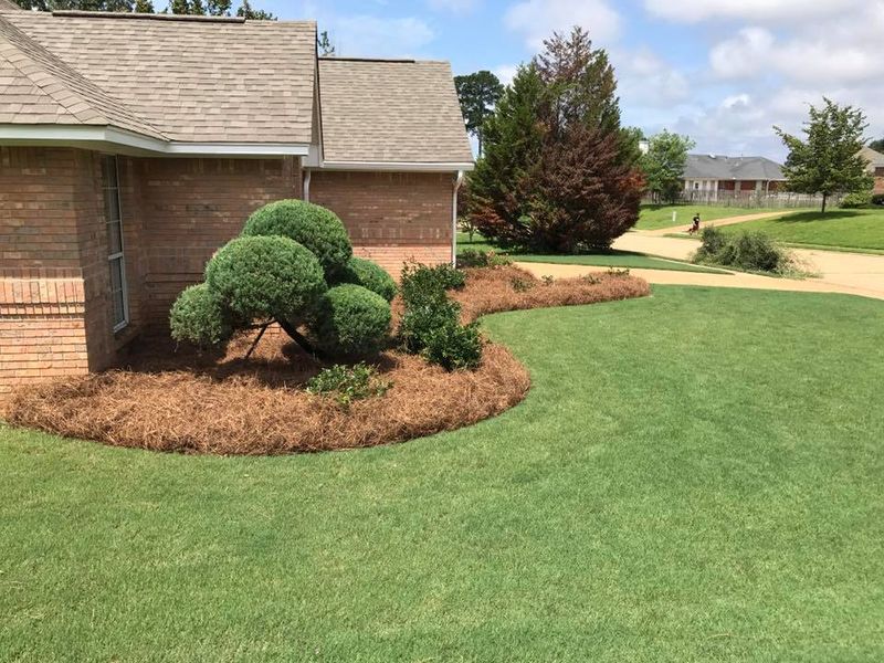 Dry May Weather Can Turn Pine Straw Riskier