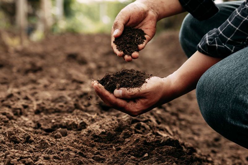 Dry Surface Soil Does Not Tell The Whole Story