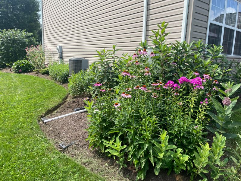 Ecology-Focused Gardens Are Growing In Popularity