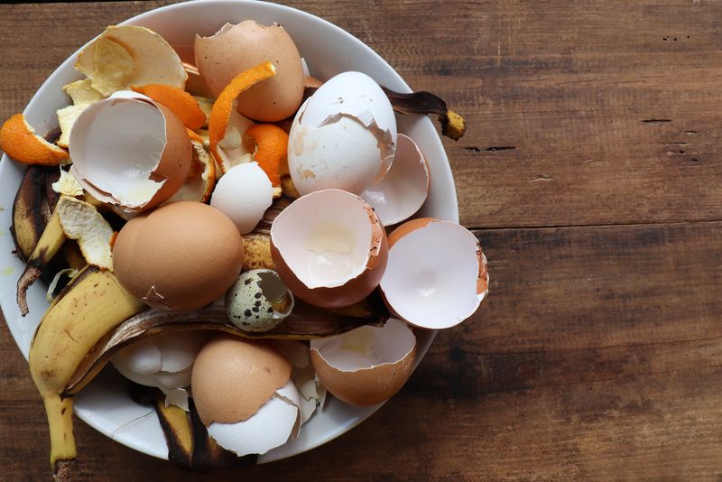 Eggshells Add Kitchen Scraps Worth Saving