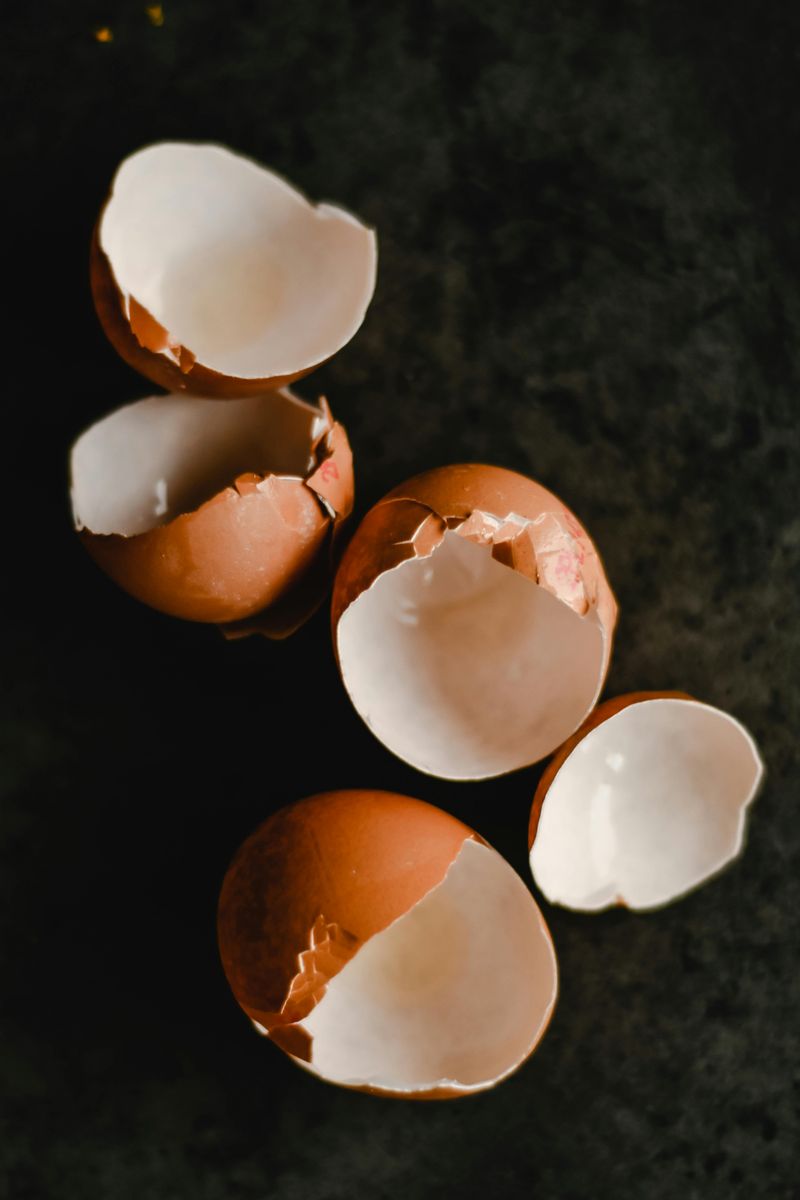 Eggshells Eggshells