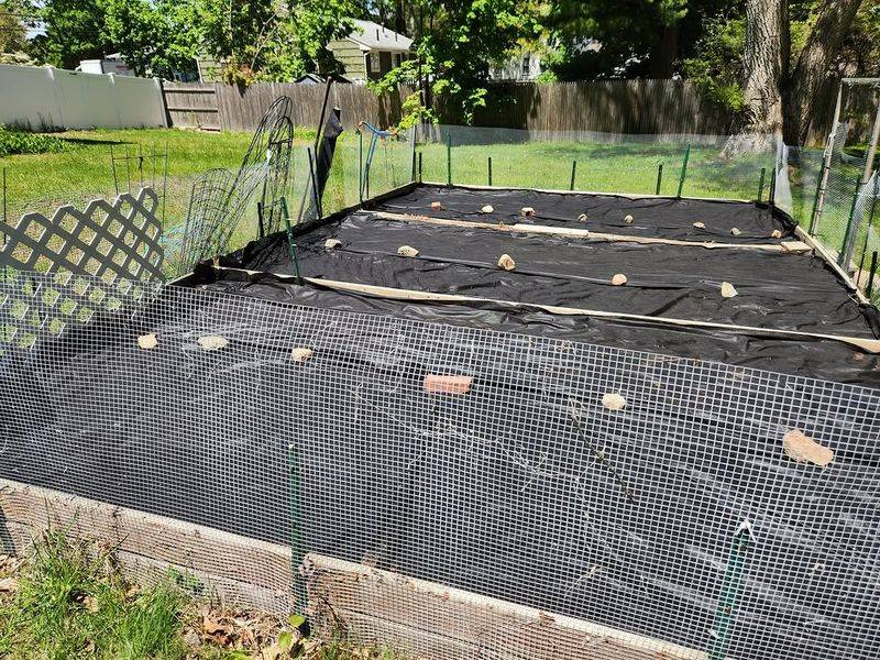 Empty Beds Need Clearing While Temperatures Stay Manageable
