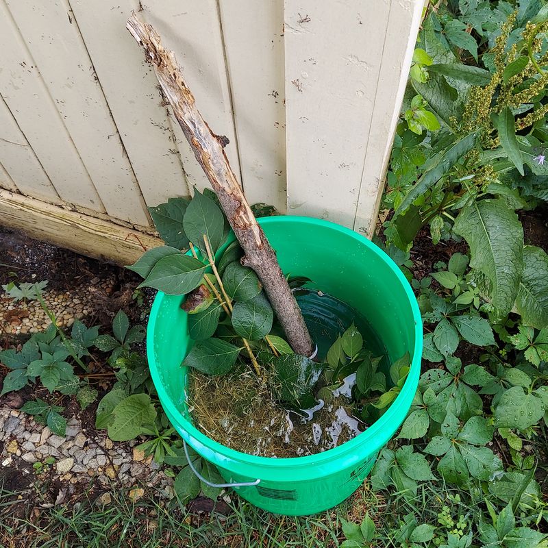 Empty Buckets, Toys, And Garden Carts Before Water Sits