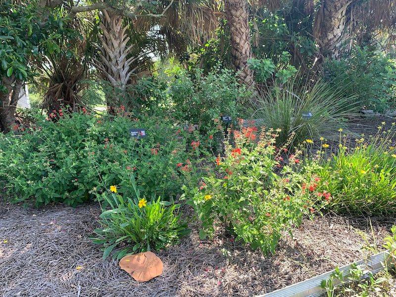 Every Plant Should Not Get The Same Soak