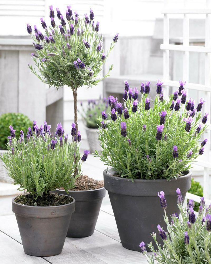 Expect To Refresh Or Replace Aging Plants Over Time